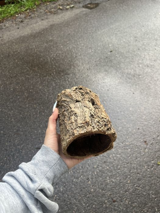 sprzedam kokosy i tyuby korkowe