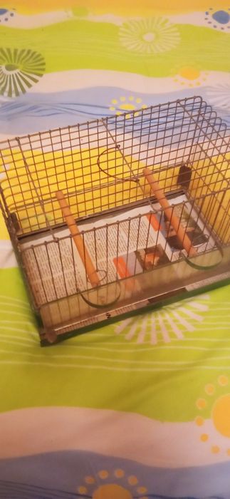 Klatka dla kanarka
