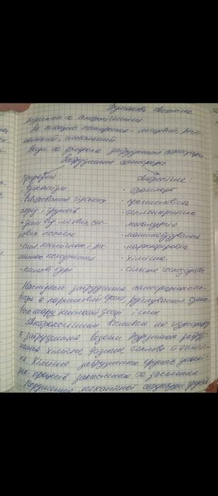 Пишу конспекти і реферати від руки, друкую на комп'ютері