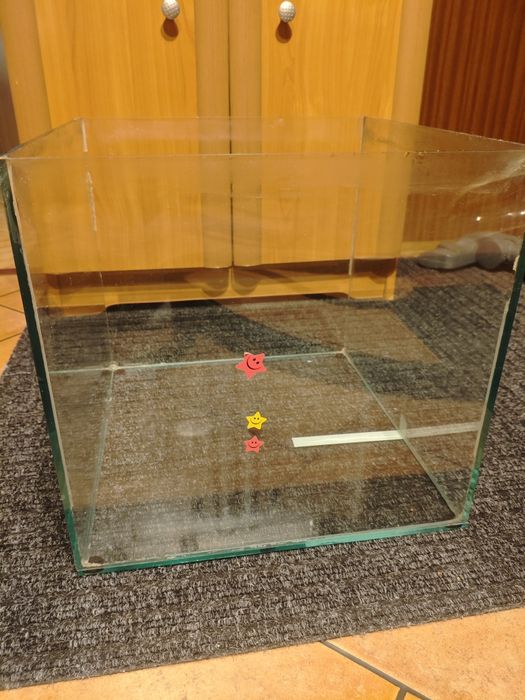 Akwarium dla chomika