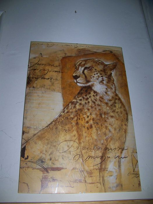 gepard-plakat oprawiony w szkło