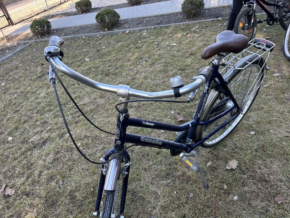 Rowet meski holenderka