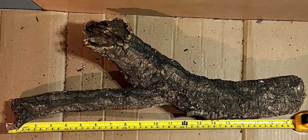 Peças de Cortiça Natural – Ideais para Terrários e Répteis