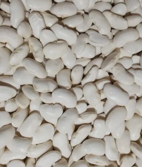 Sprzedam groch jasiek