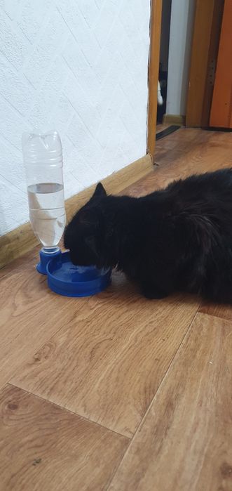 Поїлка для тварин.