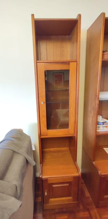 Móvel de madeira maciça com porta e prateleiras