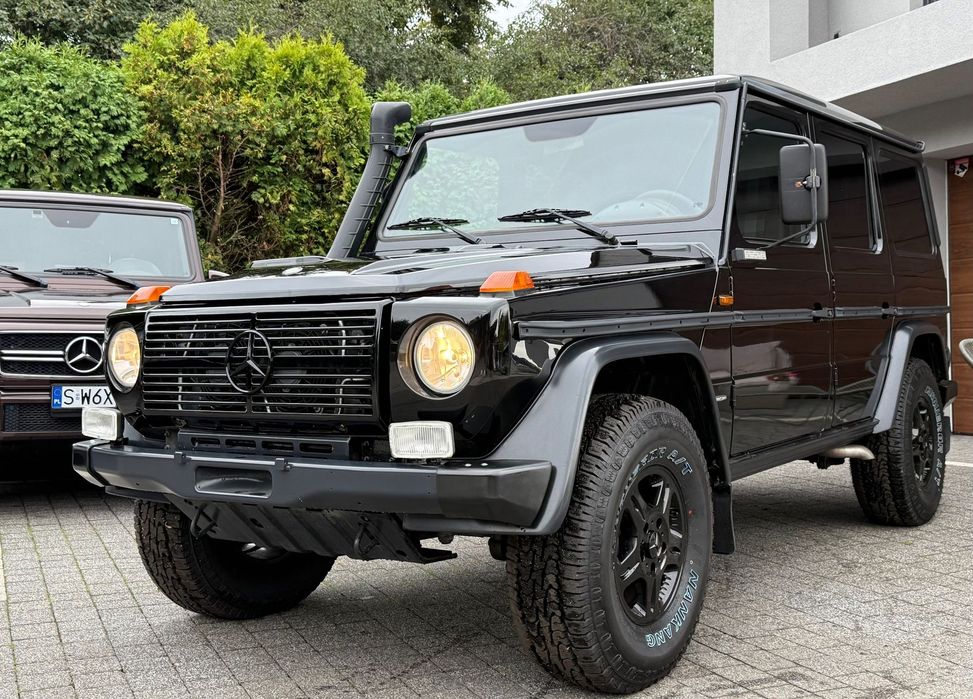 Mercedes-Benz Klasa G W461 300CDI Professional Bezwypadkowa