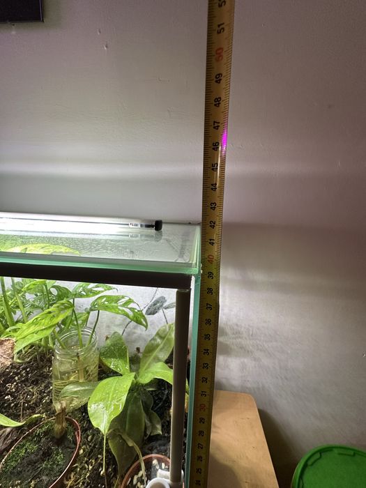 Terrarium tropikalne/botaniczne