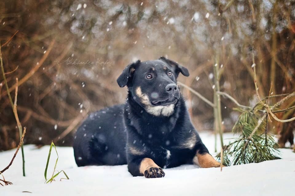 Wierna i mądra Ali 10 lat