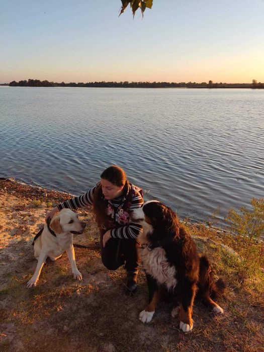 Домашняя передержка животных Осокорки БЕЗ КЛЕТОК НГ бронируйте заранее