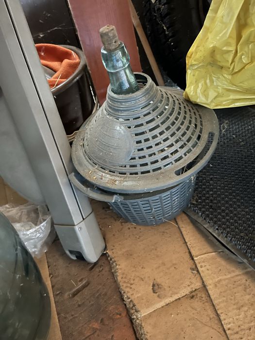 Dymion gąsior balon na wino