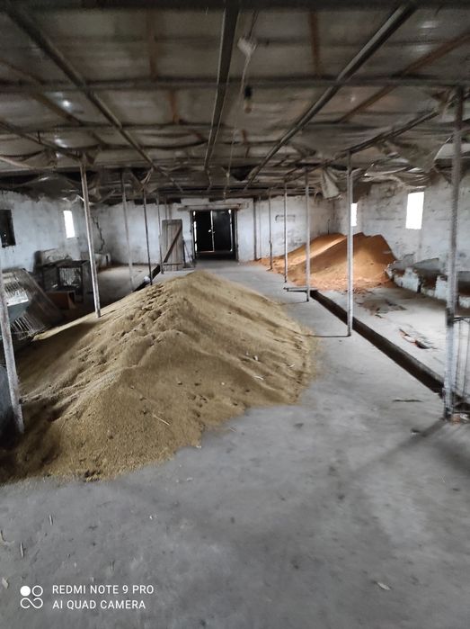 Продам ферму, птичник, телятник в Солонянском районе Днепр