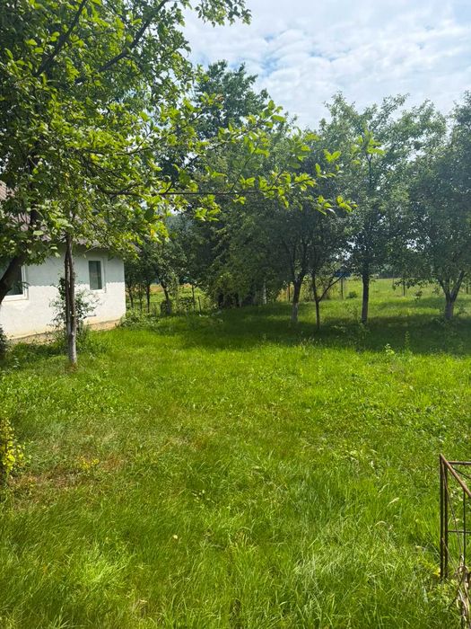 Будинок в мальовничій місцевості. ПОСТАНОВИ/ПРОГРАМИ
