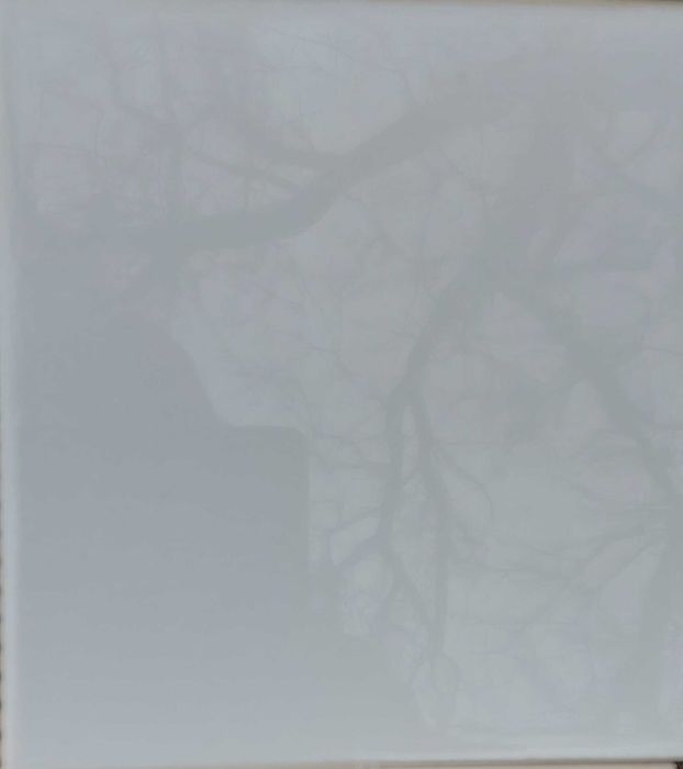 Плитка (кафель) 15×15