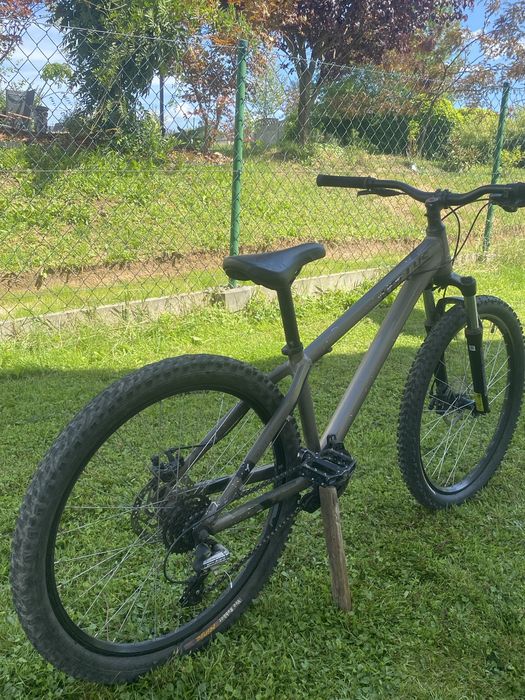 Kellys Whip 10