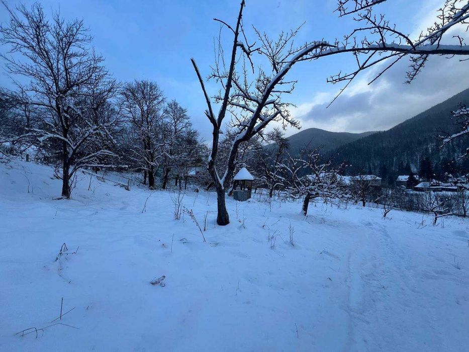 Земельна ділянка з будинком (світло, вода) село Татарів