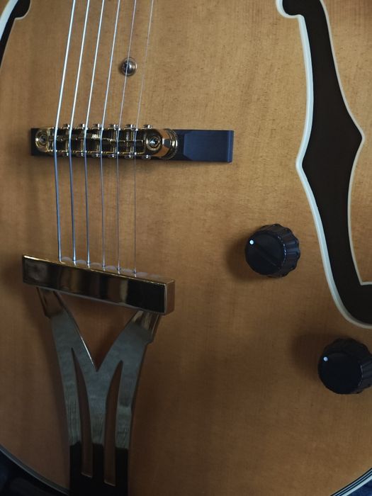 Ibanez PM3C Guitarra Hollowbody Elétrica
