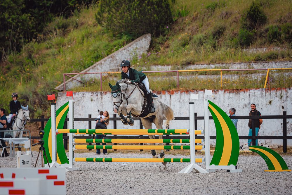 Cavalo castrado 7anos