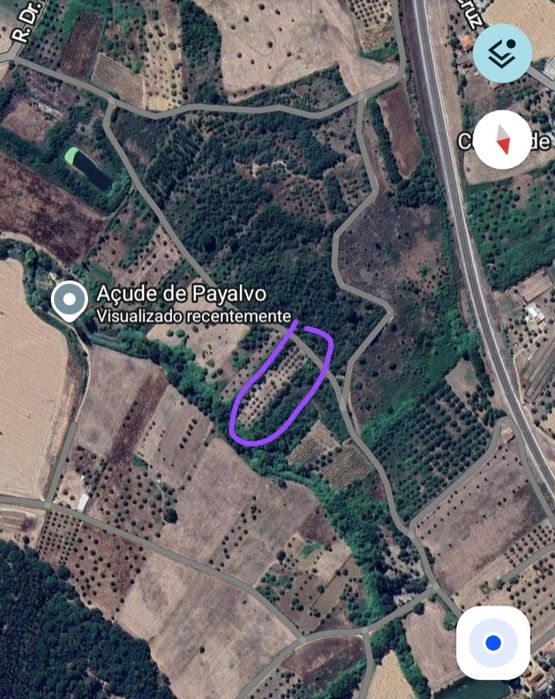 Terreno rústico com 3.000 M2, 50 oliveiras de boa qualidade