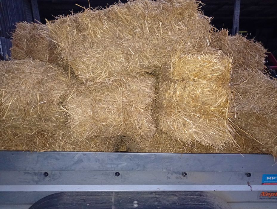 Kostki słomy, odbiór wlasny. REZERWACJA