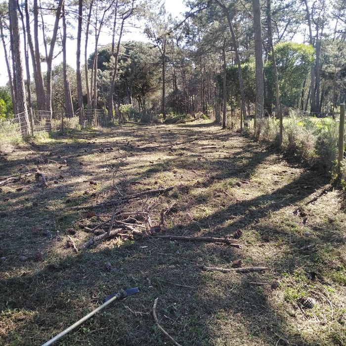 Limpezas Terrenos /Demolições/Escavações /