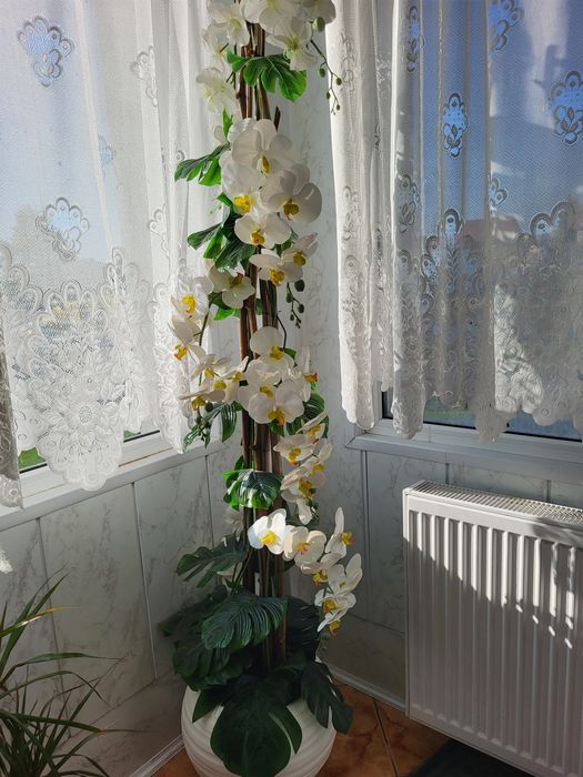 Storczyk sztuczny w donicy