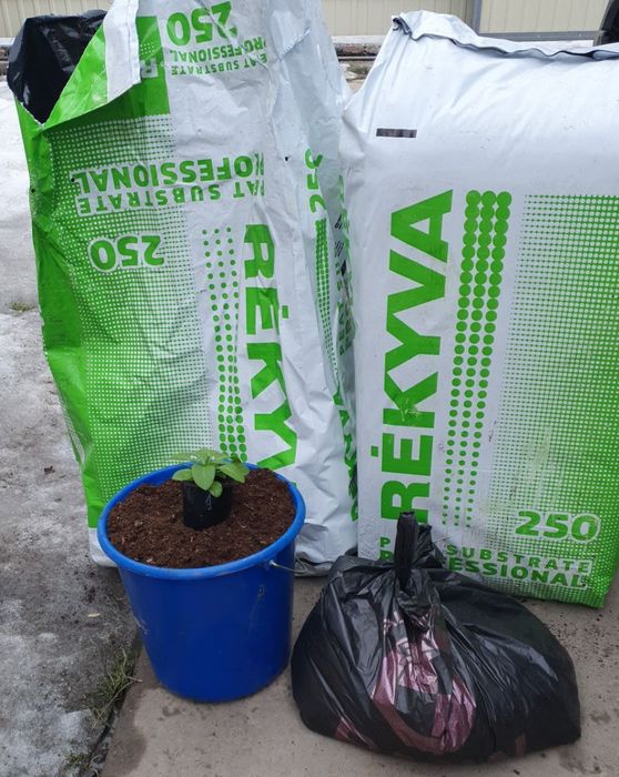 Субстрат торф Реківа для розсади