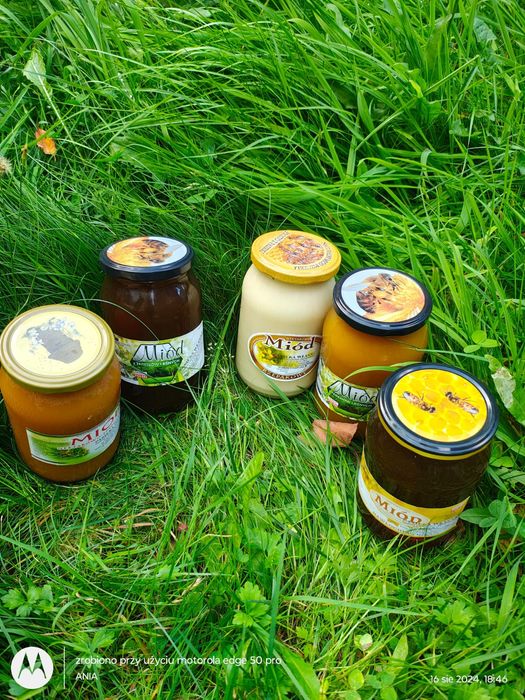 Miody naturalne z pasieki