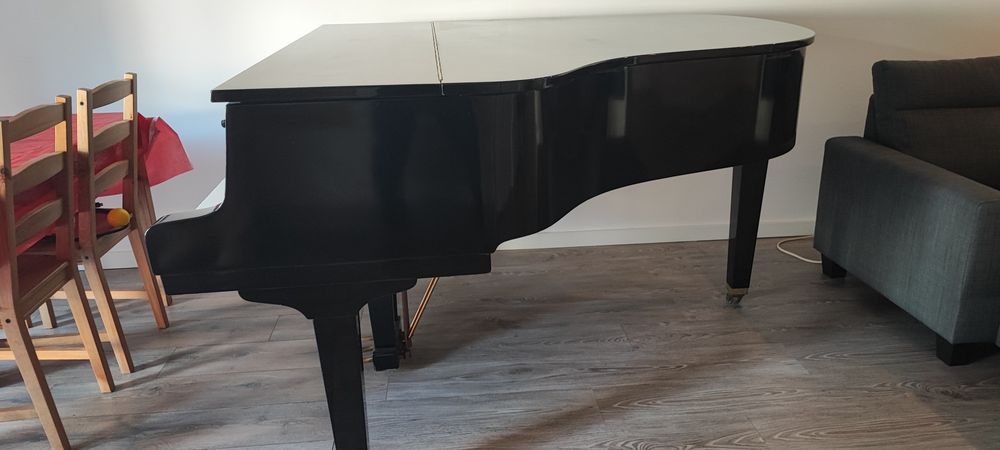 Vendo Piano Petrof 1/4 cauda