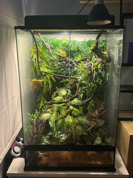 Terrário Exo Terra completo