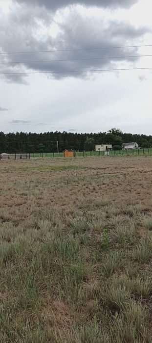 Sprzedam działkę gmina Łabiszyn - Widok 3