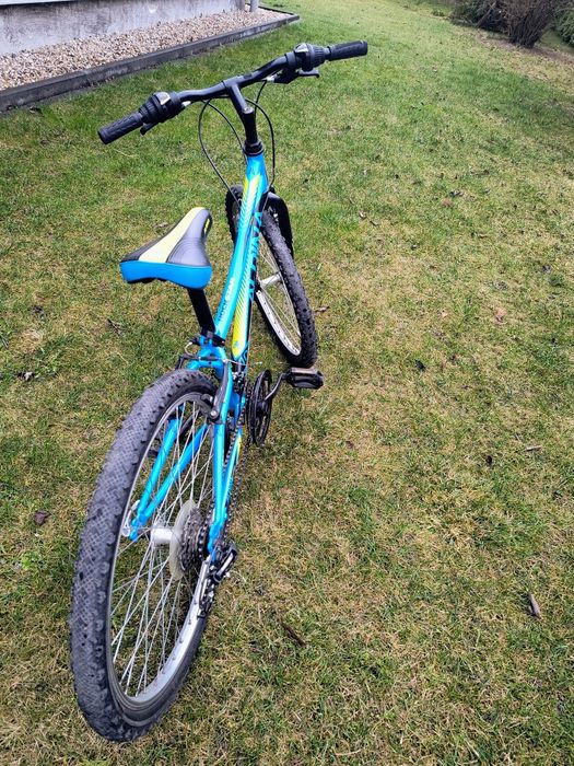 Rower Alpina 24 cale