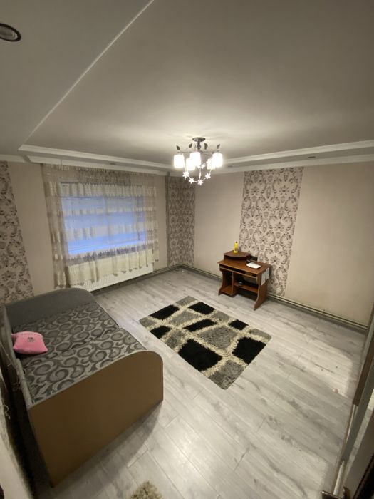 Продам будинок у ппредмісті Берегова