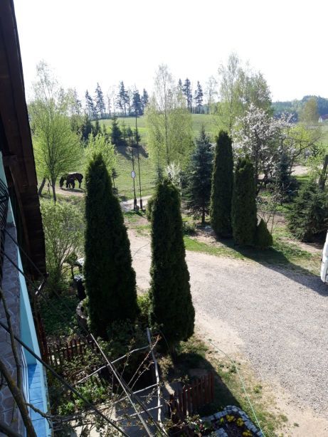 Agroturystyka ,, Zielone Wzgórze''