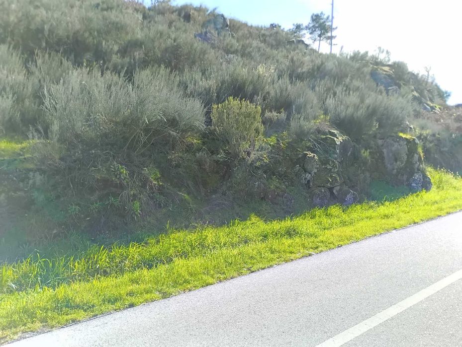 Dá-se aterro, terra e pedras