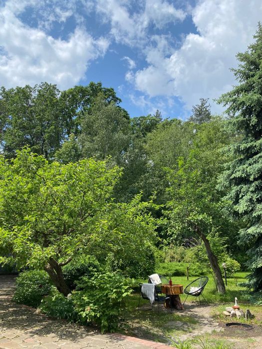 Оренда будинку в лісі із бассейном, чаном і сауною. Без чусідів