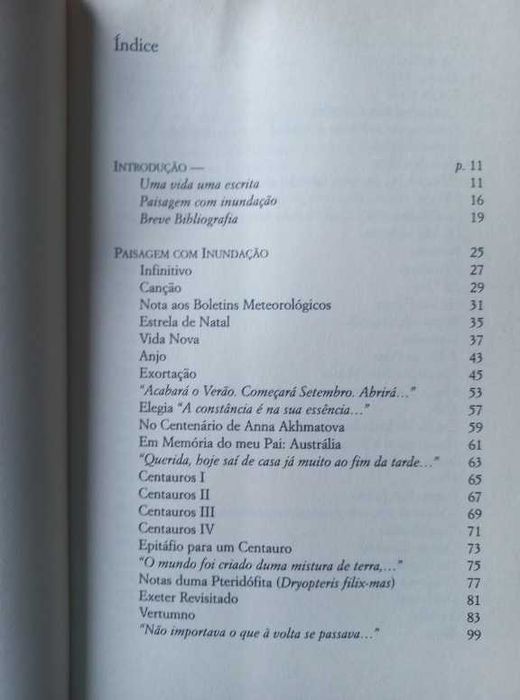 Paisagem com Inundação - Joseph Brodsky
