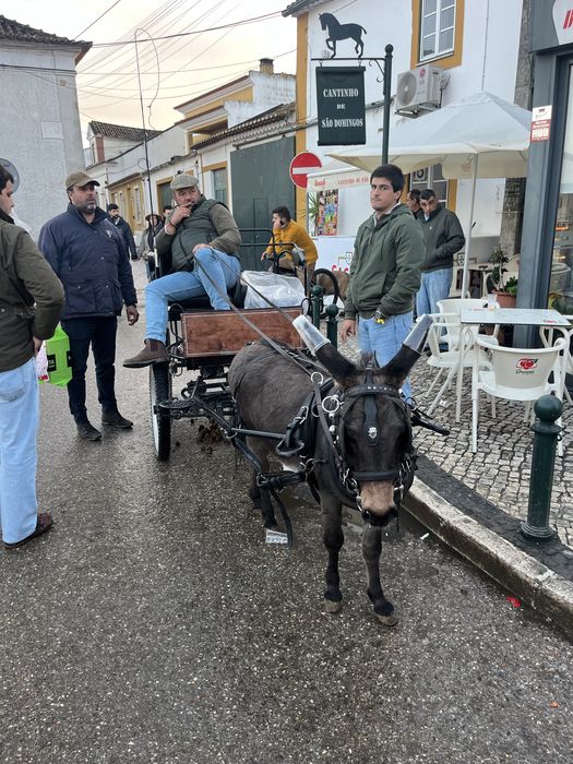 Mini mino burro 98cm