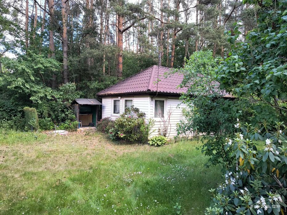 Sprzedam działkę rekreacyjną nad Jeziorem Piaseczno - Widok 2
