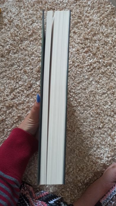 A rapariga no comboio - Paula Hawkins