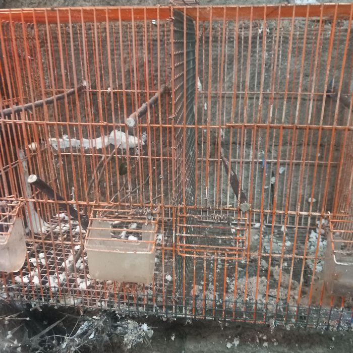 Gaiolas de exposiçãos