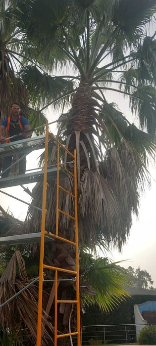 Jardins da vila manutencao de jardins