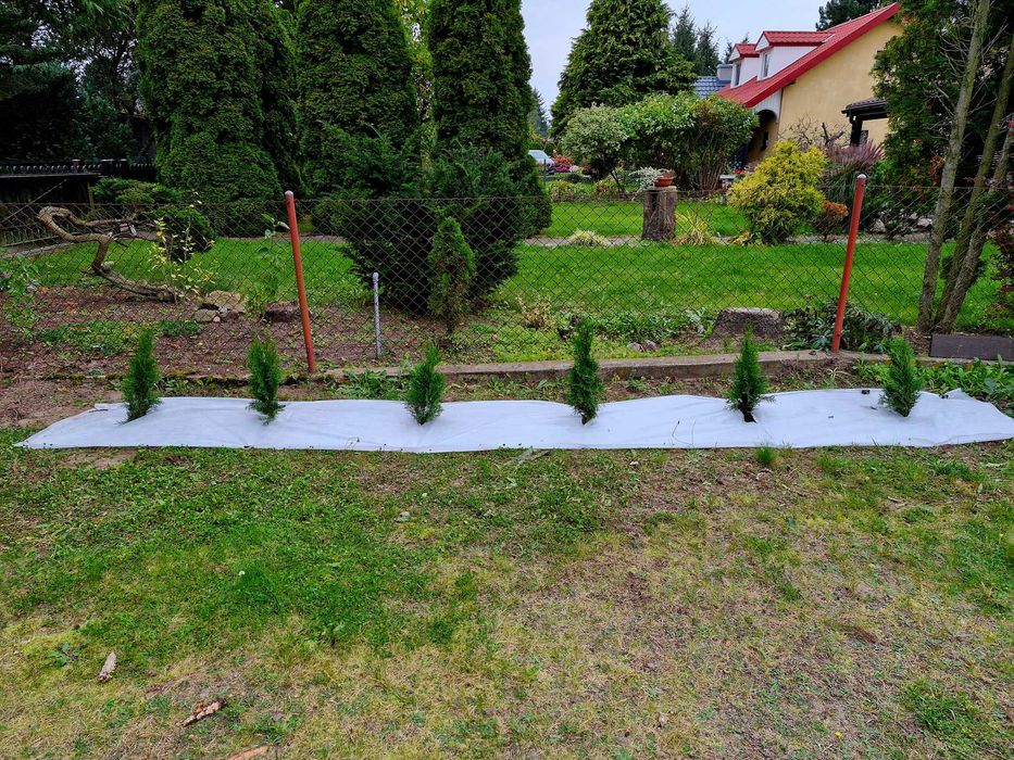 Działka ROD pod zabudowę