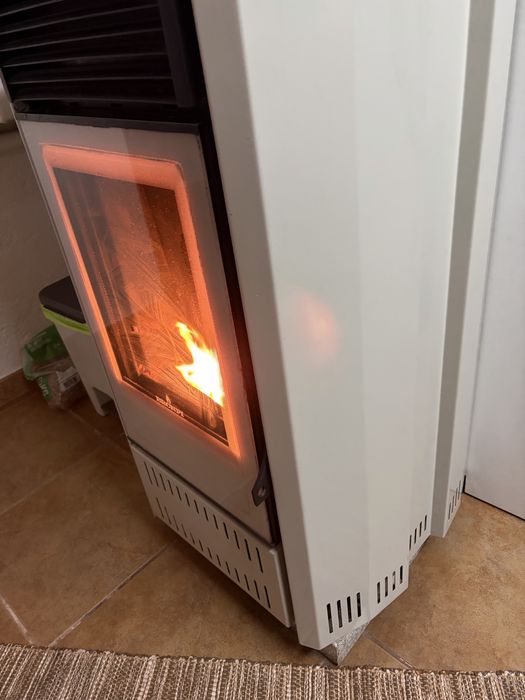 Salamandra Bio Bronpi