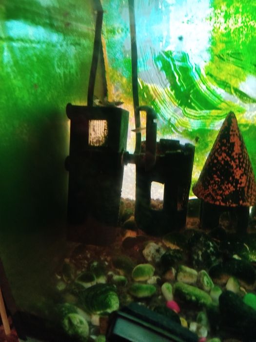 Акваріум 80 літрів