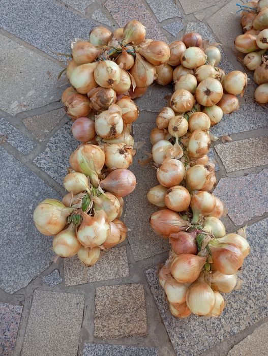 Cebola doce de boa qualidade