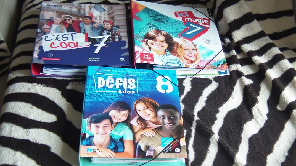 Manuais do professor Francês 7º,8º,9º