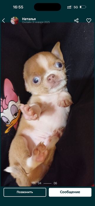 Мальчик почти год белый с рыжим