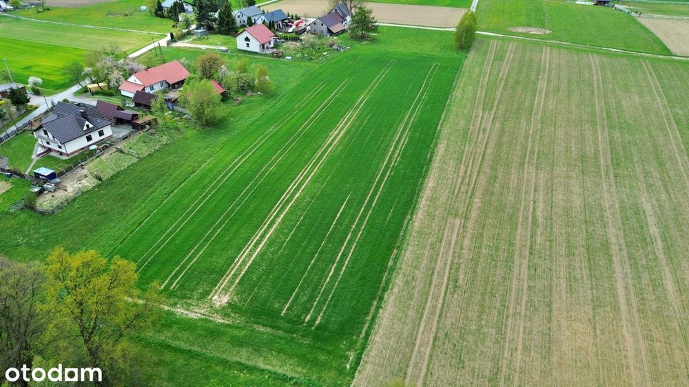 Działka inwestycyjna | 105 arów | Babica gm. Wadowice | RZ + las - Widok 5