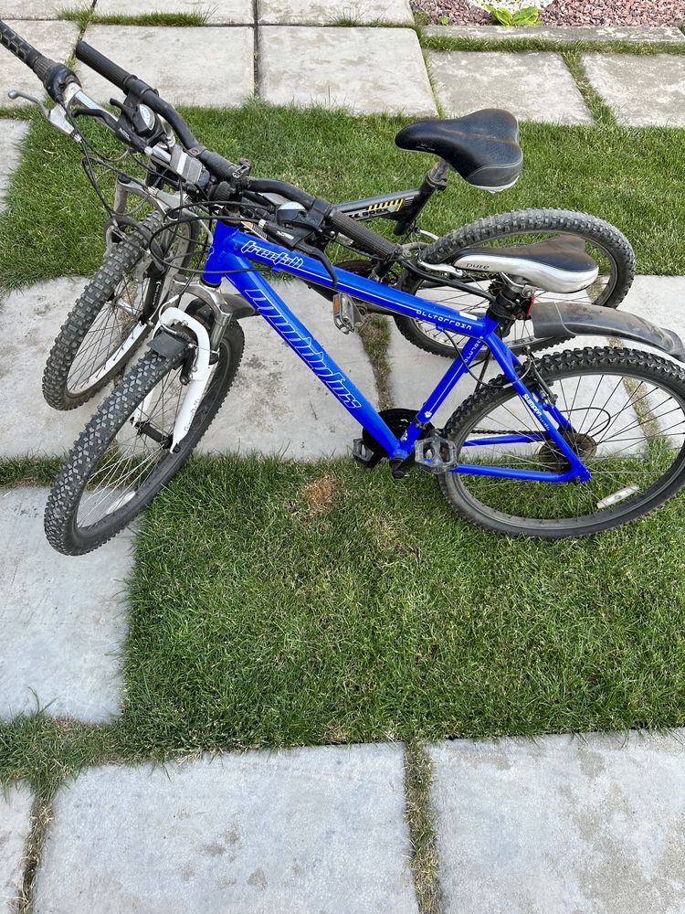 McKenzie hill 300x Muddyfox Freefall 3 000 Olx